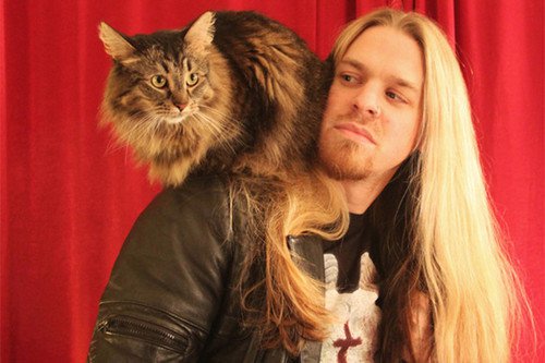 metalhead-cat