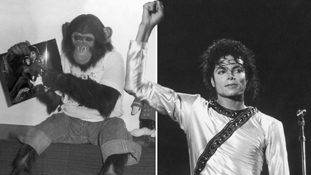 ¡Increíble, pero cierto! Bubbles, el famoso chimpancé de Michael Jackson, subastará sus ‘pinturas’