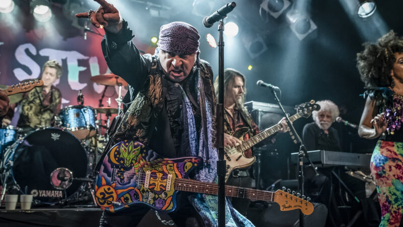 Steven Van Zandt sobre el activismo y cómo salvar el rock ‘N’ Roll